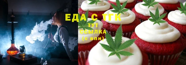 хмурый Алексин