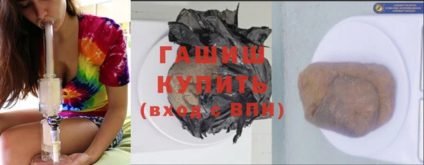 хмурый Алексин