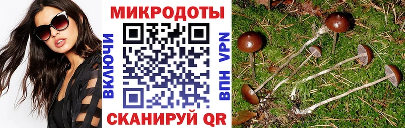 Галлюциногенные грибы ЛСД  магазин    Андреаполь 